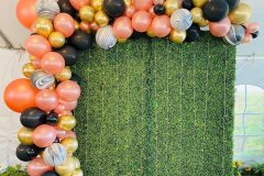 Organic-Balloon-Garland-Over-Green-Grass-Backdrop